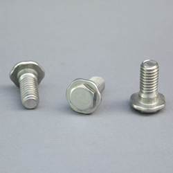 Hexagon w. Special Washer Bolt